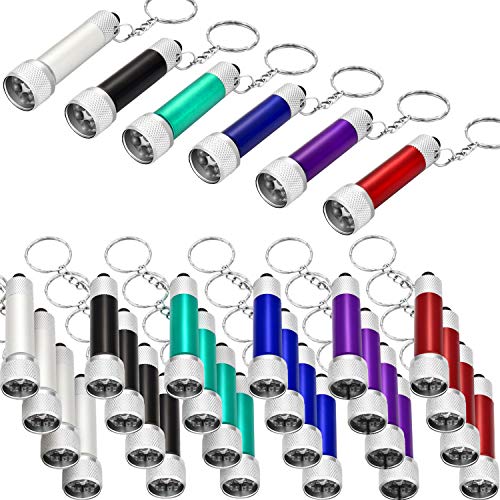 Portable 30 Mini LED Keychain Flashlights