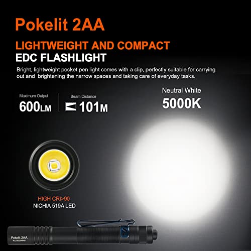 ACEBEAM Pokelit 2AA High Lumens Flashlight