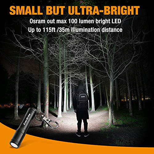 EverBrite Mini LED Flashlight (Issue Fixed) High Lumen Keychain EDC Flashlight, Small Pocket Pen-Light for Hurricane Supplies, Camping, Hiking, Emergency, Hunting, 1 AAA Battery(Include), Black