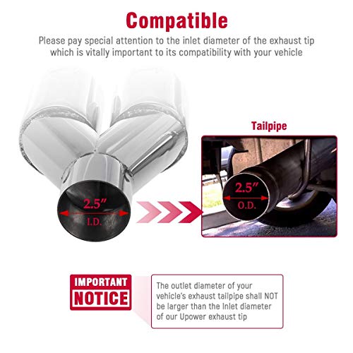 Dual Stainless Steel Exhaust Tips for 2.5" ID