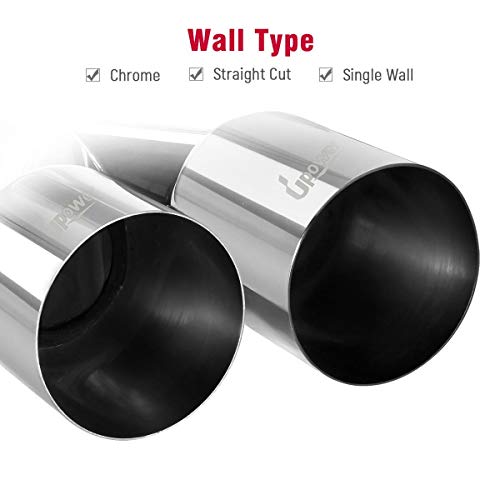 Dual Stainless Steel Exhaust Tips for 2.5" ID
