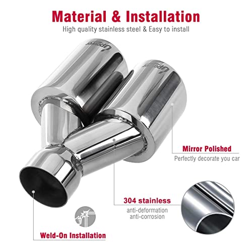 Dual Staggered Exhaust Tips 2.5" to 3.5