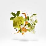 Xerjoff 1861 Naxos Eau de Parfum 100ml