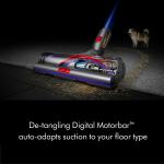 Dyson V11 Torque Drive+ Iron/Blue Luxury Vacuum