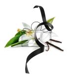 FERRAGAMO Signorina Misteriosa Eau de Parfum 1.7 oz