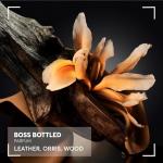 BOSS Bottled Parfum for Him - Ambery Woody Scent