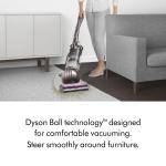 Dyson Ball Animal 3 - Nickel/Silver