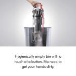 Dyson Ball Animal 3 - Nickel/Silver