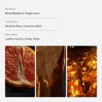 Rabanne 1 Million Eau de Toilette for Men