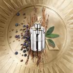 Azzaro Wanted Eau de Parfum for Men