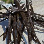 Dolce&Gabbana Devotion Eau De Parfum for Women