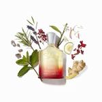 Creed Original Santal Luxury Unisex Perfume 50ML