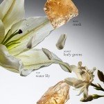 Philosophy Pure Grace Eau de Parfum 60ml