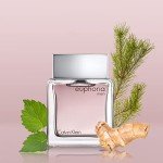 Calvin Klein Euphoria Men's Eau de Toilette