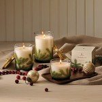 Thymes Frasier Fir Luxury Scented Candle 16 Oz