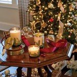 Thymes Frasier Fir Luxury Scented Candle 16 Oz