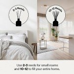 Charcoal Luxury Reed Diffuser Set for Home