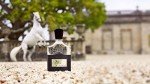 Creed Aventus Men's Luxury Cologne - 100 ML