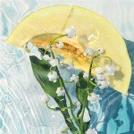 DAVIDOFF Cool Water Floral Gift Set for Women