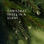 Thymes Frasier Fir Heritage Luxury Scented Candle