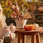 Thymes Pumpkin Laurel Large Scented Candle