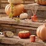 Thymes Pumpkin Laurel Large Scented Candle