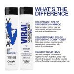 Celeb Luxury Extreme Blue Semi Permanent Shampoo 240ml