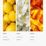 Ritz Carlton Inspired Luxury Fragrance Oil, 500mL
