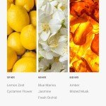Escape Oil Blend - Luxury Aromatherapy Diffuser Oil