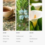 Dream On Aroma Diffuser Oil – Luxury Fragrance