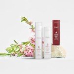 L'ANZA Healing ColorCare Shampoo for Vibrant Hair