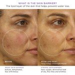 TATCHA Indigo Night Repair Face Cream & Serum