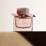 Burberry Mr. Burberry Eau de Parfum 5 Fl Oz