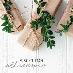 Frasier Fir Luxury Scented Candle in Frosted Jar