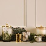 Frasier Fir Luxury Scented Candle in Frosted Jar