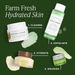 Farmacy Green Clean Waterproof Makeup Remover Balm