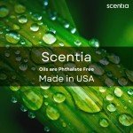 Scentia My Way Luxury Fragrance Diffuser Oil 120ml