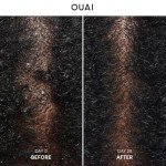 OUAI Soothing Anti-Dandruff Shampoo for Scalp Relief