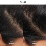OUAI Soothing Anti-Dandruff Shampoo for Scalp Relief
