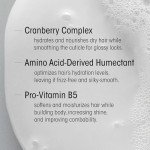 Oribe Supershine Luxe Hydrating Shampoo