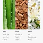 Dream On Luxury Aroma Diffuser Oil - 120ML