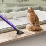Dyson V10 Animal Cordless Vacuum Cleaner - Purple