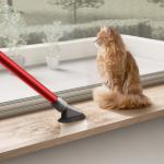 Dyson V8 Extra Cordless Vacuum - Red