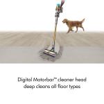 Dyson V15 Detect Absolute Cordless Vacuum - Iron/Gold