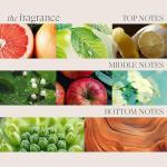 L'ANZA Healing Volume Shampoo for Fine, Flat Hair