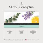 Minty Eucalyptus Aroma Oil for Diffusers - 176ml