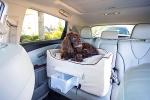 Luxury Lookout Pet Car Seat in Buckskin Java