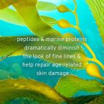 Kerstin Florian Caviar Age-Defense Facial Serum