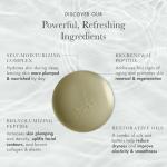 RéVive Overnight Face Oil - Anti-Aging Rescue Elixir