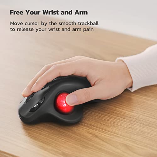 Nulea M501 Wireless Trackball Mouse, Rechargeable Ergonomic, Easy Thumb Control, Precise & Smooth Tracking, 3 Device Connection (Bluetooth or USB), Compatible for PC, Laptop, iPad, Mac, Windows.